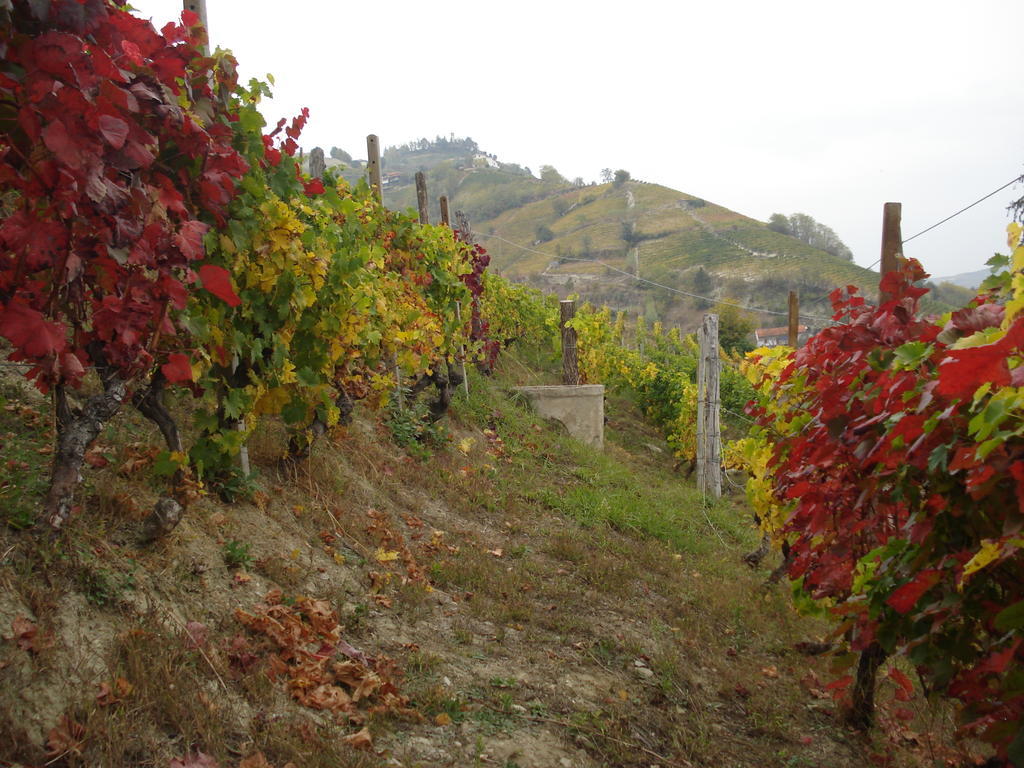 Agriturismo Cascina L'Arche Santo Stefano Belbo Zewnętrze zdjęcie