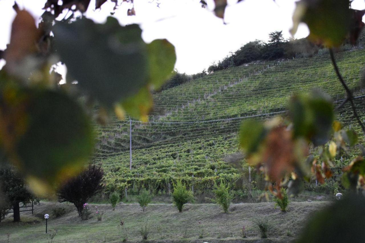 Agriturismo Cascina L'Arche Santo Stefano Belbo Zewnętrze zdjęcie